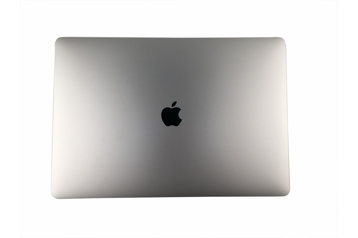 Apple MacBook Pro 16" 2019 (16,1 / A2141) i9-9880H 32GB 1TB QWERTZ-DE silver sehr gut