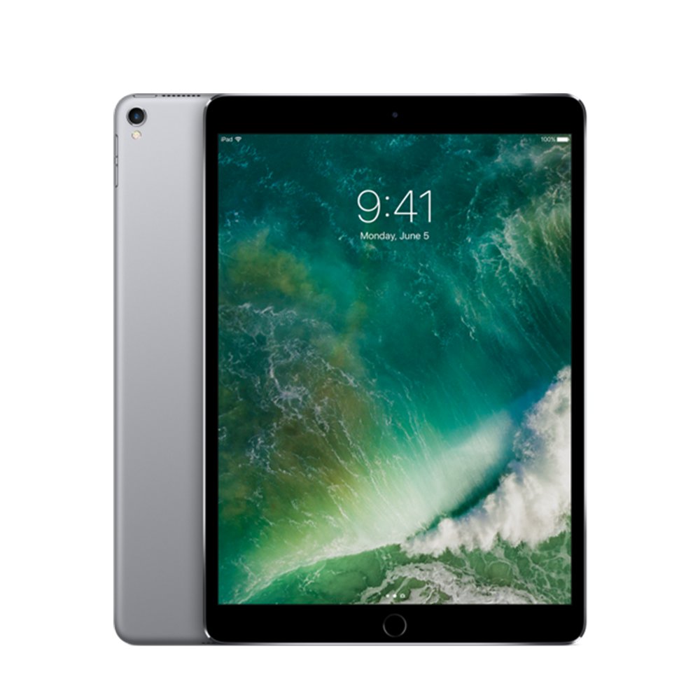Apple iPad Pro 12,9 2.Gen (2017) A1670 64GB 12,9" only Wifi space gray hervorragend