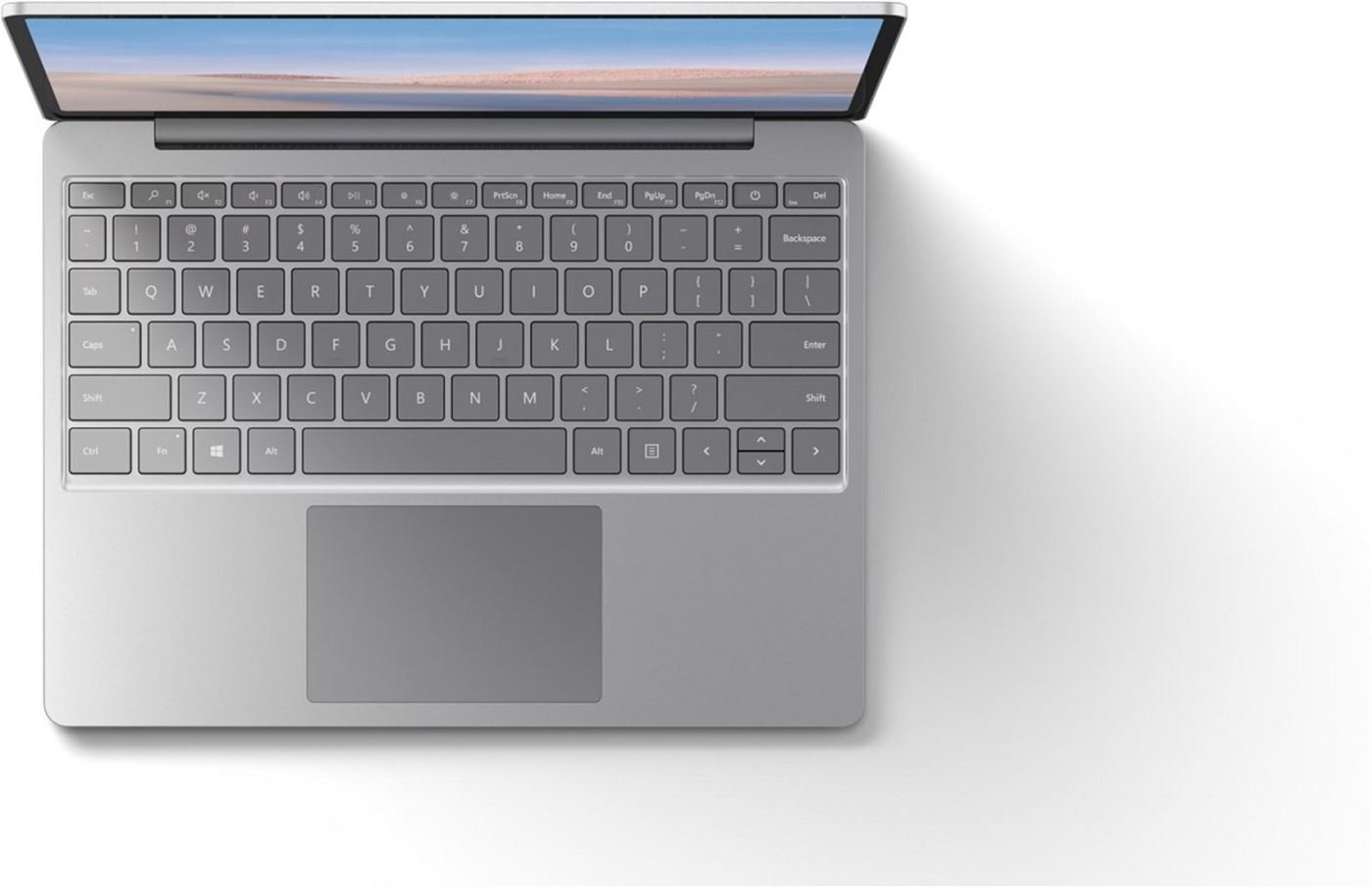 Microsoft Surface Laptop Go 2020 (M1943) i5-1035G1 8GB 128GB 12,4"  W10 Pro neu in OVP